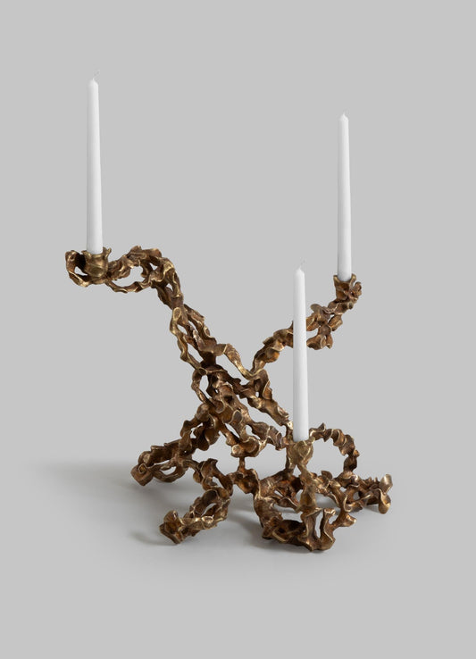 Candelabro Andamán