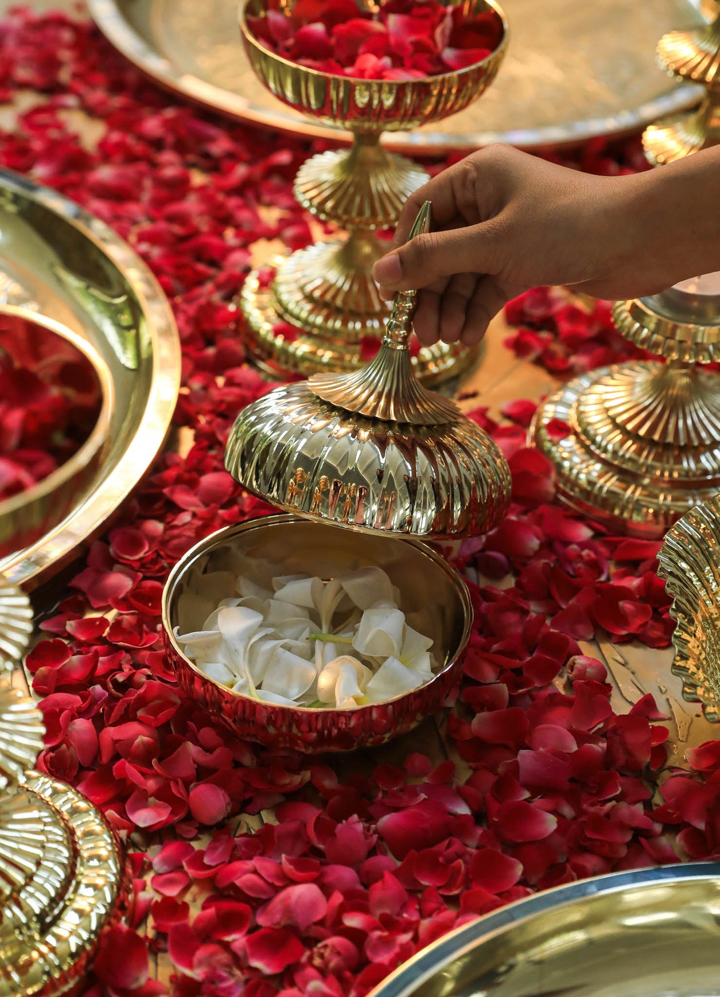 Gold-toned metal bowls and stands with fluted, shell-like details, set on a surface covered with rose petals, creating an elegant and luxurious decorative display. The motifs are ornate and reflective, emphasizing a classic, opulent style.