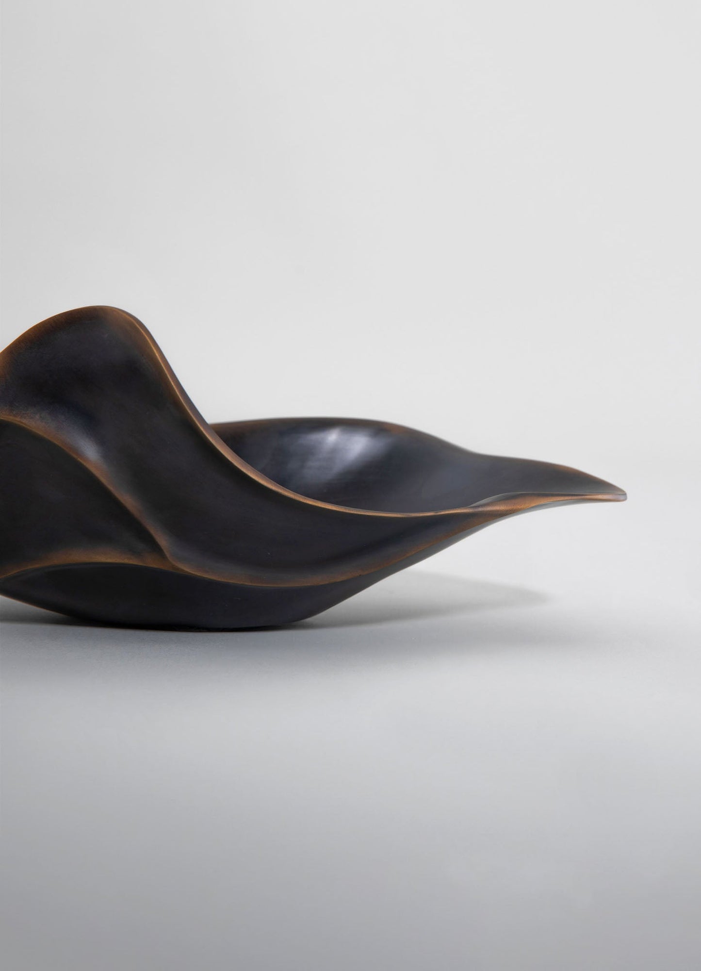 Black wooden sculptural bowl with smooth, flowing curves and a polished finish, set against a light background.