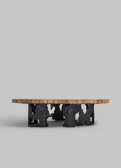 Fossil Coffee Table