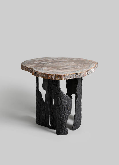 Fossil Side Table