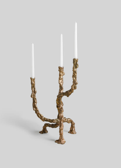 Belum Candelabra