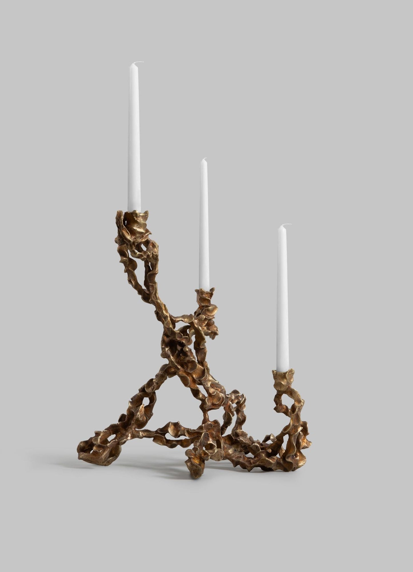 Andaman Candelabra