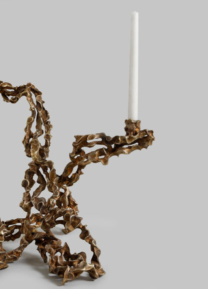 Andaman Candelabra