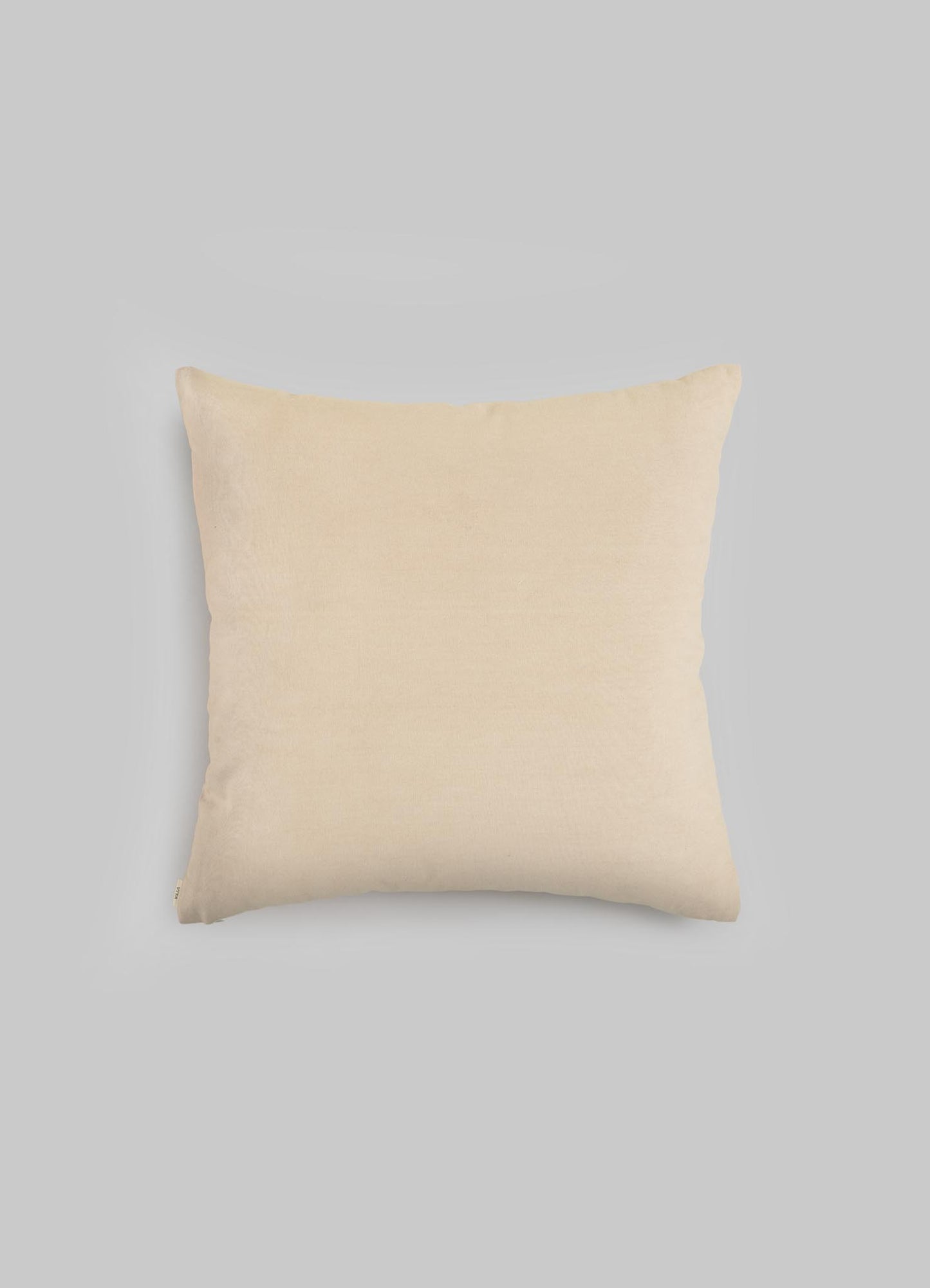 The Viya Tutti Frutti Sea Green Cushion Cover (18"x18") is displayed centered on a light gray background, featuring a soft fabric reminiscent of hand-embroidered designs.