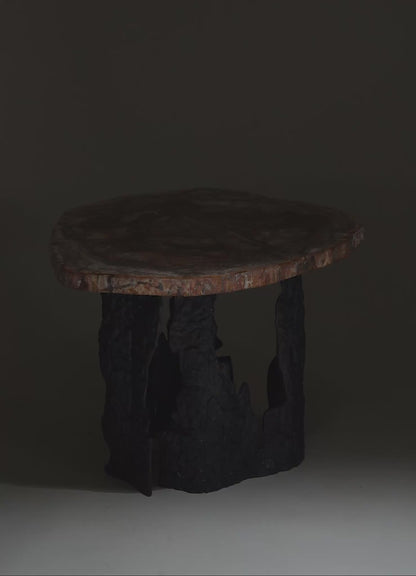 Fossil Side Table
